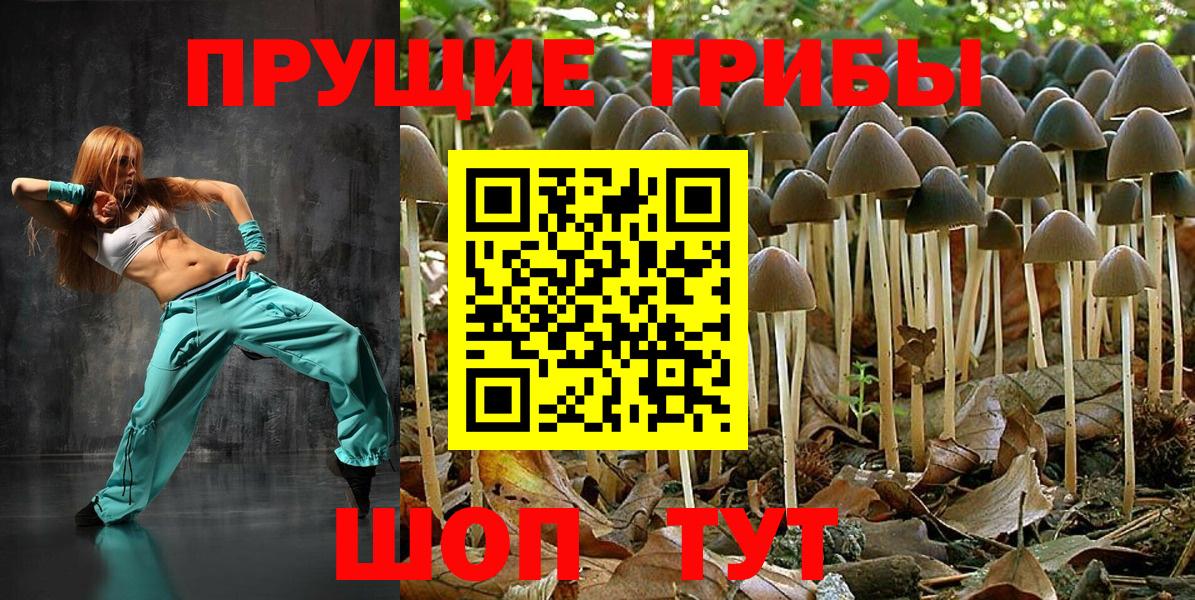 Галлюциногенные грибы MAGIC MUSHROOMS Вязники